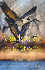 Verdwalen onderweg